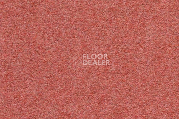 Ковровая плитка FINETT Dimension p509208 – f509108 фото 1 | FLOORDEALER